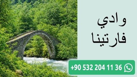 وادي فارتينا